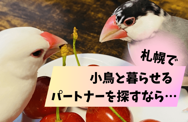 鳥フェス札幌2023,鳥フェス,札幌,前売り券,当日券,鳥イベント,鳥,イベント,よしだかおる,オカパラ,鳥カフェ,鳥グッズ