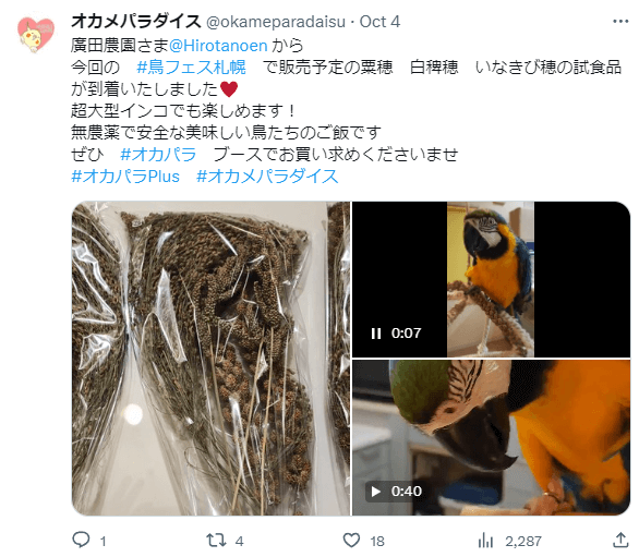 鳥フェス札幌2023,鳥フェス,札幌,前売り券,当日券,鳥イベント,鳥,イベント,よしだかおる,オカパラ,鳥カフェ,鳥グッズ