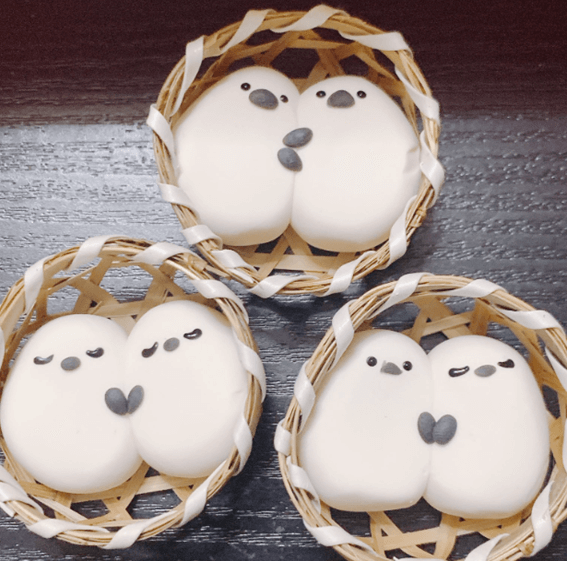 鳥フェス札幌2022,鳥フェス,札幌,前売り券,当日券,鳥イベント,鳥,イベント,よしだかおる,オカパラ,鳥カフェ,鳥グッズ