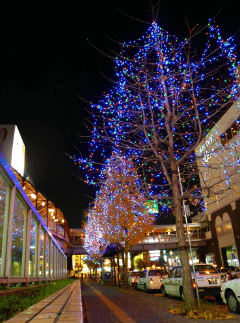 新札幌,クリスマス,イベント,クリスマスディナー,クリスマスツリー,イルミネーション,デート,カップル,厚別