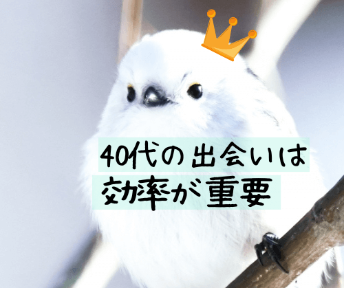 札幌,社会人サークル,40代,中高年,サークル,登山,出会い,友達探し,婚活,恋活,趣味,おすすめ,飲み会サークル