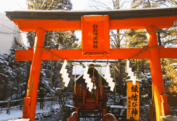 札幌,初詣,初詣スポット,穴場,神社,寺,2023,元旦,人気,オススメ