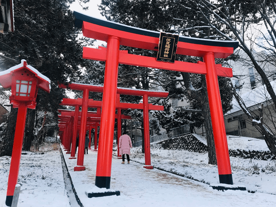 札幌,初詣,初詣スポット,穴場,神社,寺,2023,元旦,人気,オススメ