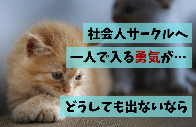 社会人サークル,一人で入る,札幌,1人参加,おすすめ,サークル,おひとりさま,出会いサークル,マッチングアプリ